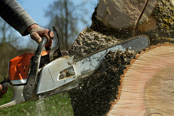Best Aeration Services  in Belterra, TX